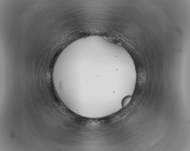 X0000113120613200909181650