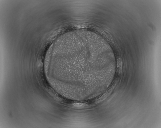 X0000113120614200909181650