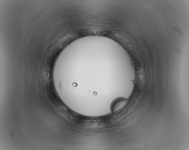 X0000113120615200909181650