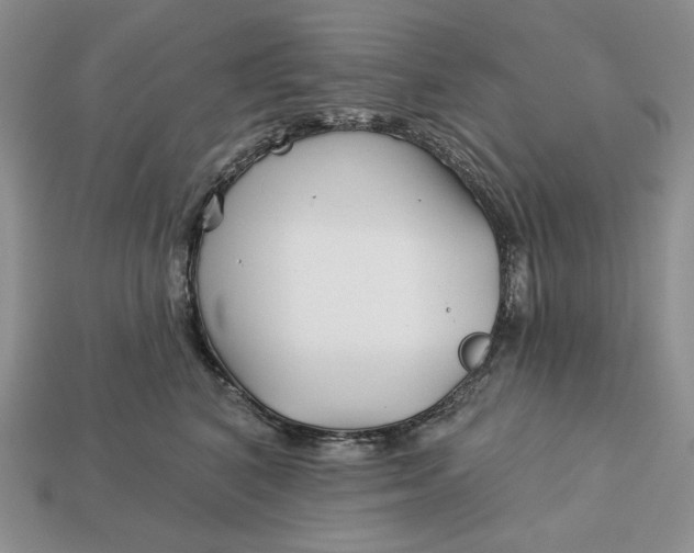 X0000113120616200909181650