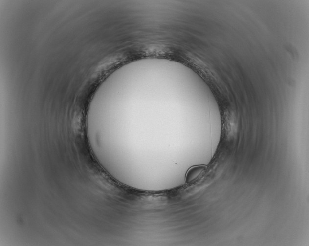 X0000113120619200909181650