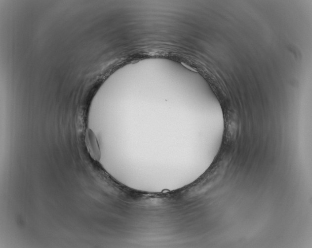 X0000113120620200909181650