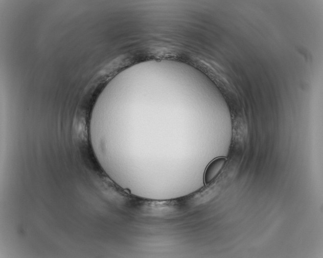 X0000113120622200909181650