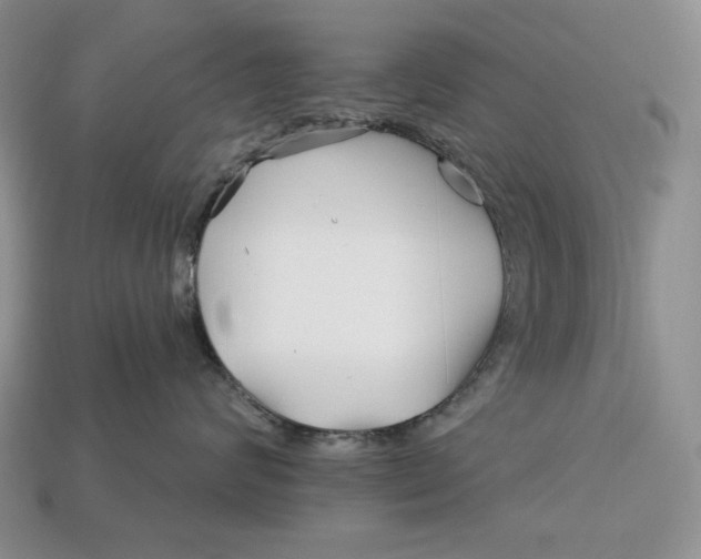 X0000113120624200909181650