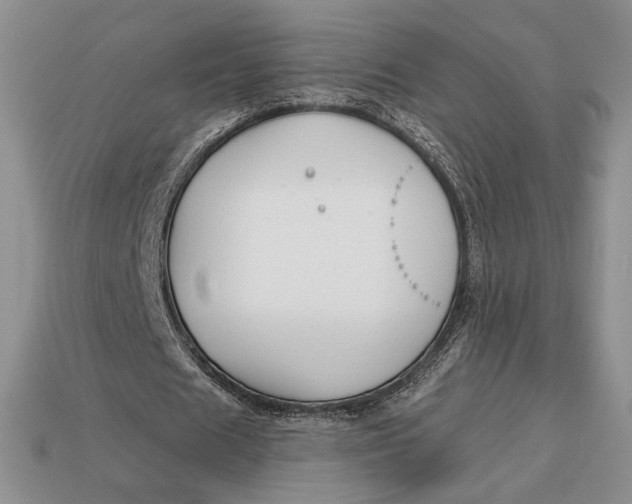 X0000113120625200909181649