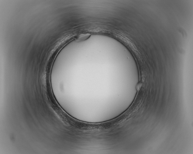 X0000113120626200909181649