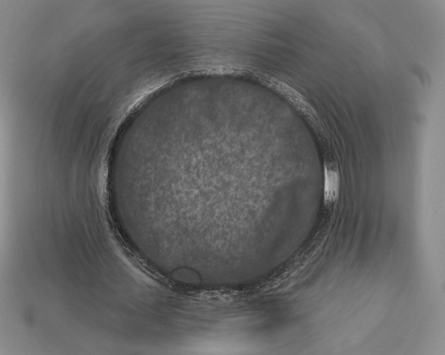 X0000113120627200909181649