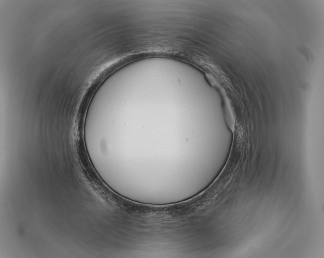 X0000113120628200909181649