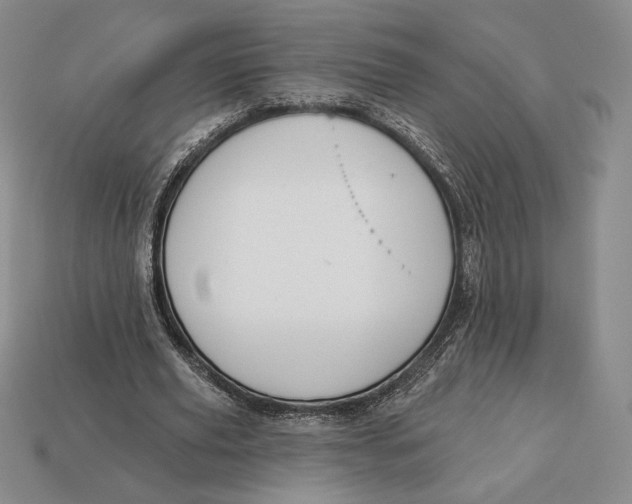 X0000113120629200909181649