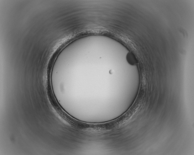 X0000113120630200909181649