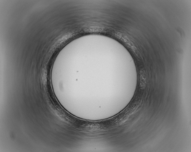 X0000113120631200909181649