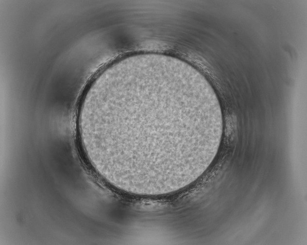 X0000113120632200909181649