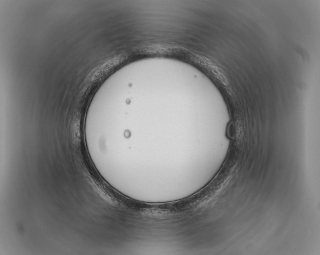 X0000113120633200909181649