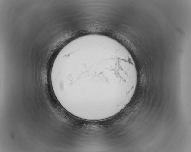 X0000113120635200909181649