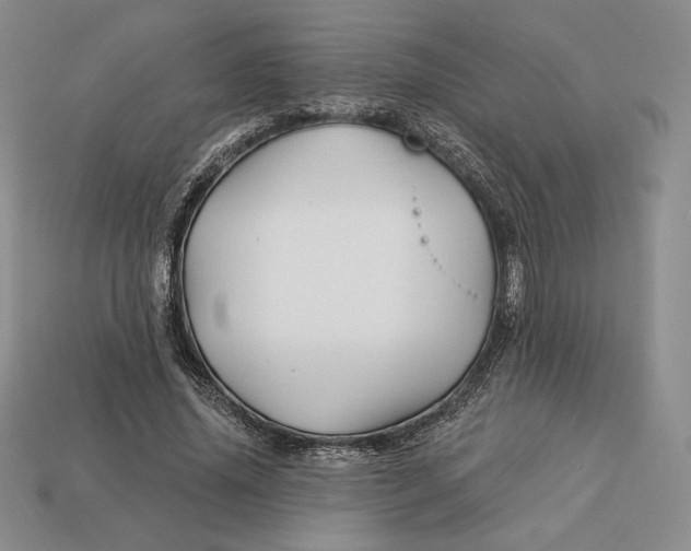 X0000113120636200909181649