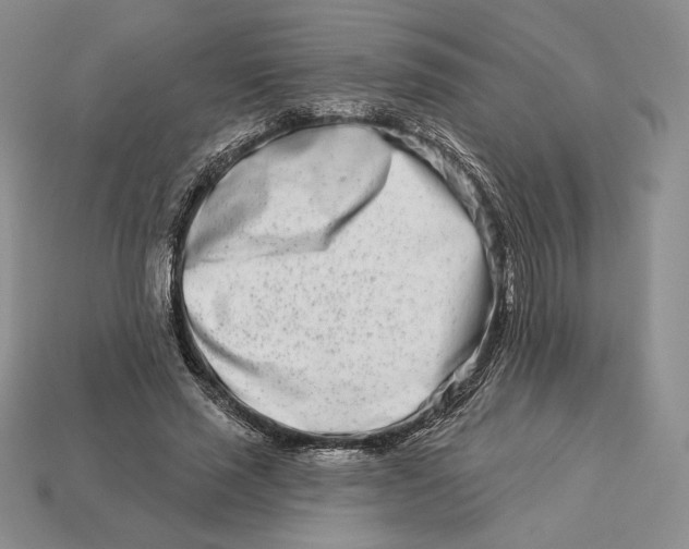 X0000113120637200909181649