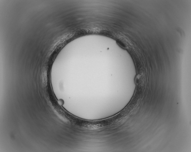 X0000113120638200909181649