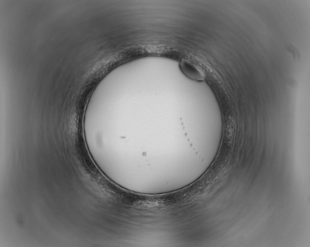 X0000113120639200909181649