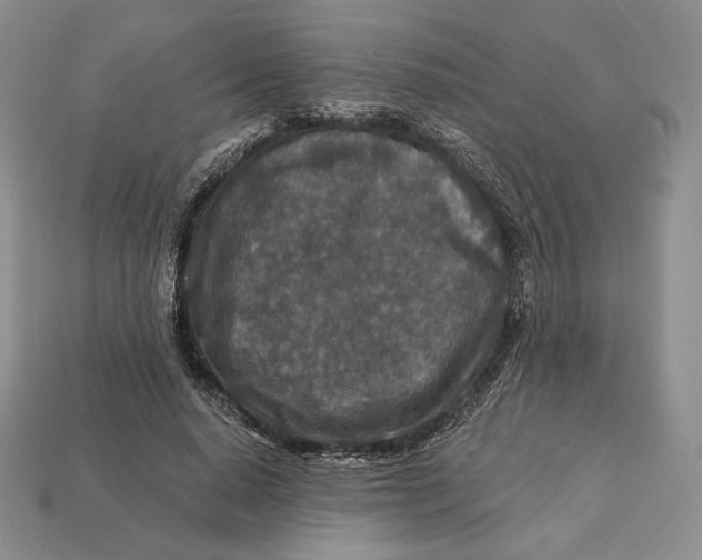 X0000113120640200909181649