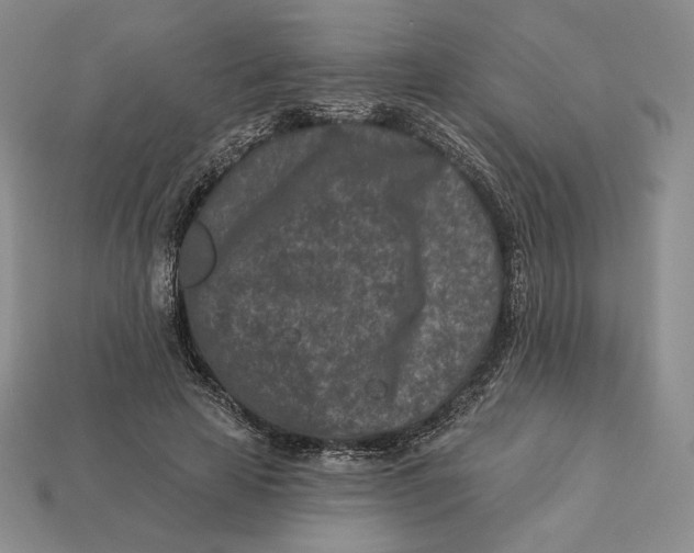 X0000113120641200909181649