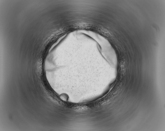 X0000113120642200909181649