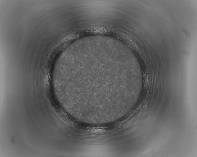 X0000113120643200909181649