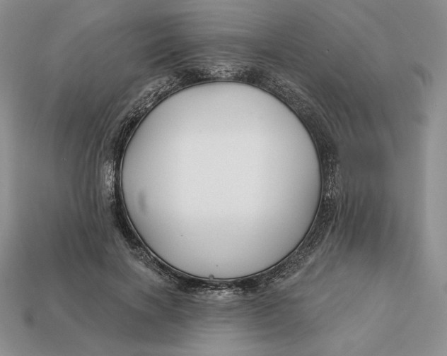 X0000113120646200909181649