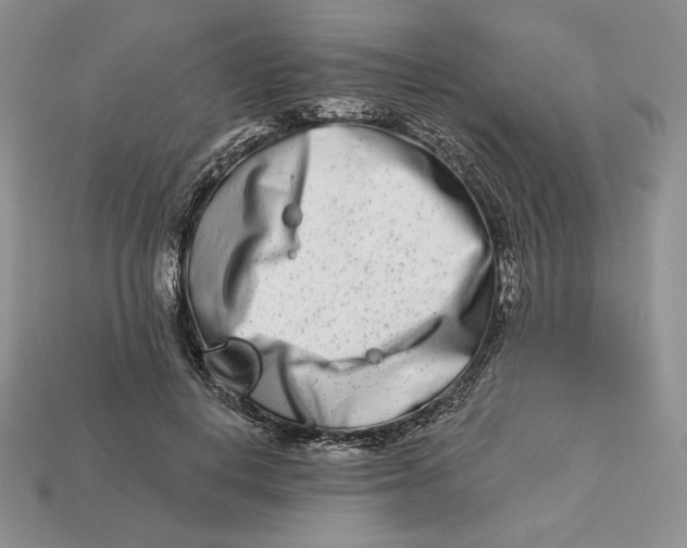 X0000113120648200909181649