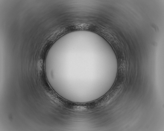 X0000113120649200909181649