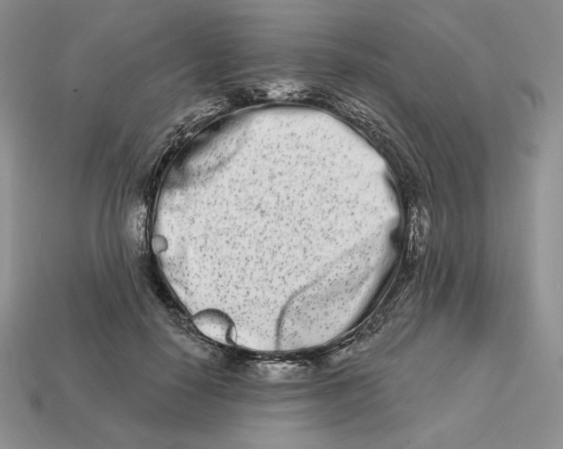 X0000113120650200909181649