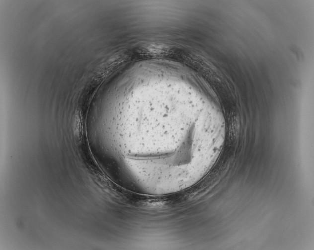 X0000113120651200909181649