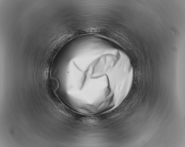 X0000113120652200909181649