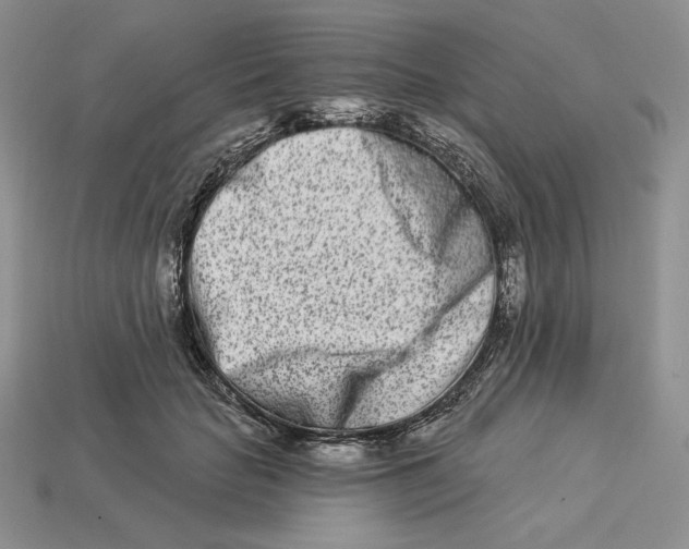 X0000113120653200909181649