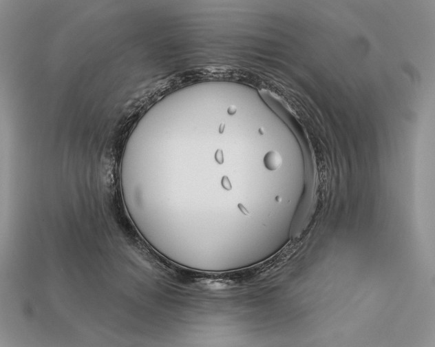 X0000113120654200909181649