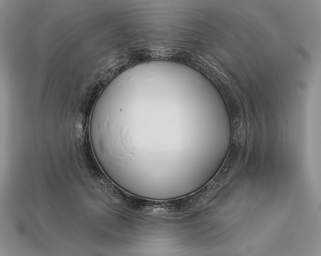 X0000113120655200909181649