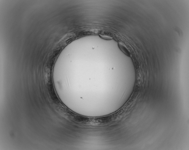 X0000113120656200909181649