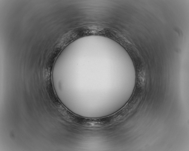 X0000113120657200909181649