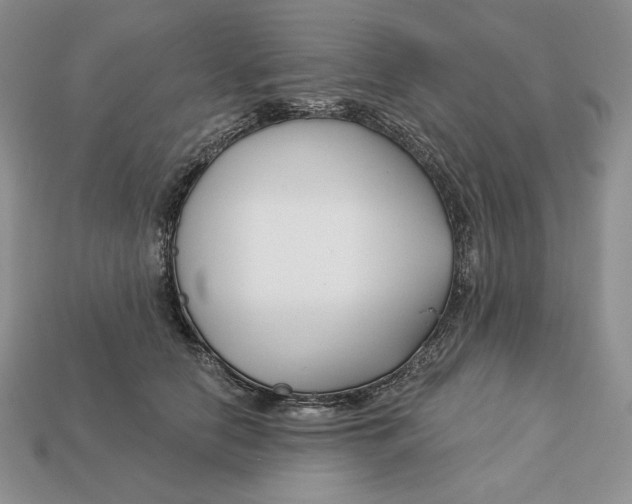 X0000113120658200909181649