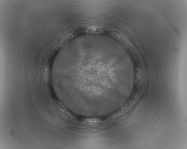 X0000113120659200909181649