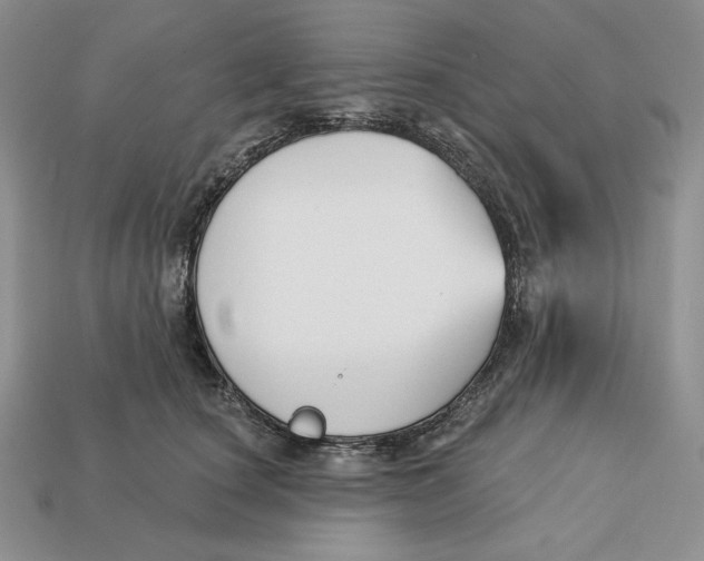 X0000113120660200909181649