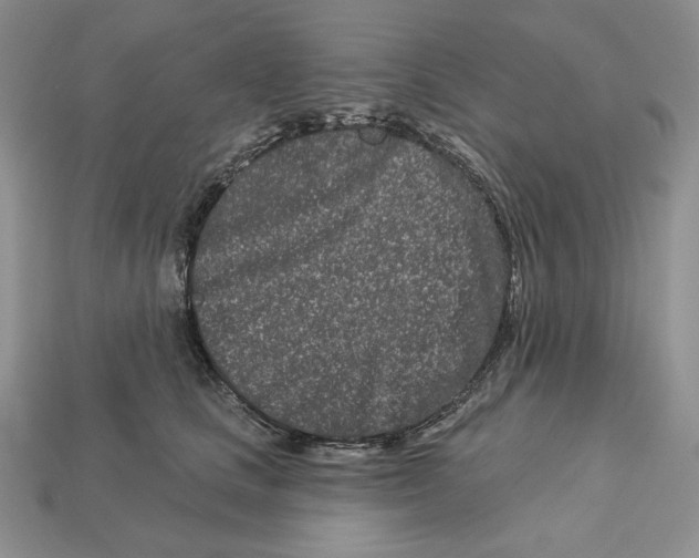 X0000113120661200909181649