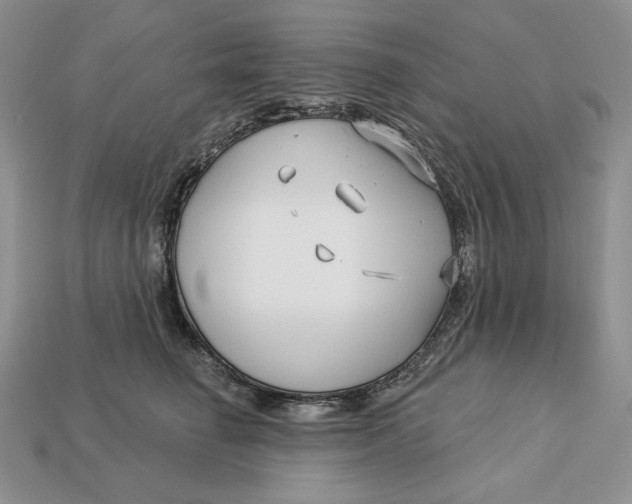 X0000113120662200909181649