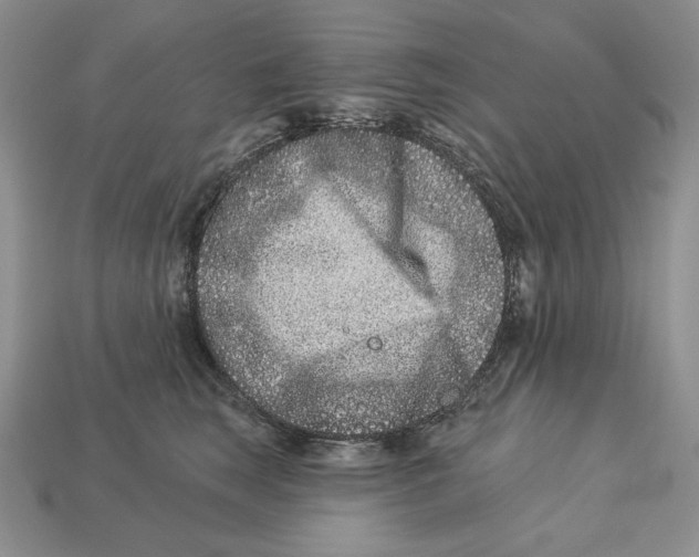 X0000113120663200909181649