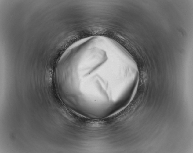 X0000113120664200909181649