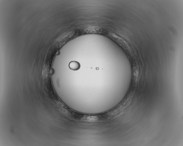 X0000113120665200909181649