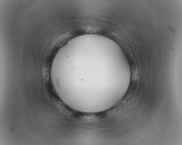 X0000113120666200909181650