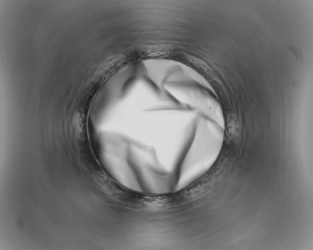 X0000113120667200909181650