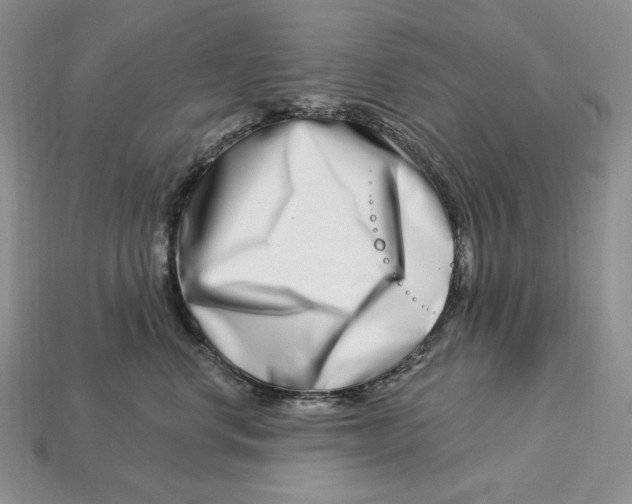 X0000113120668200909181650