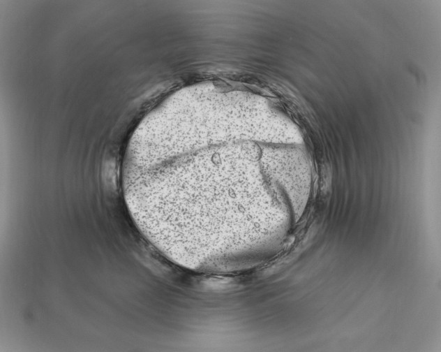 X0000113120669200909181650