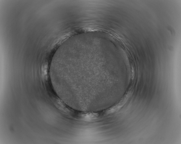 X0000113120670200909181650